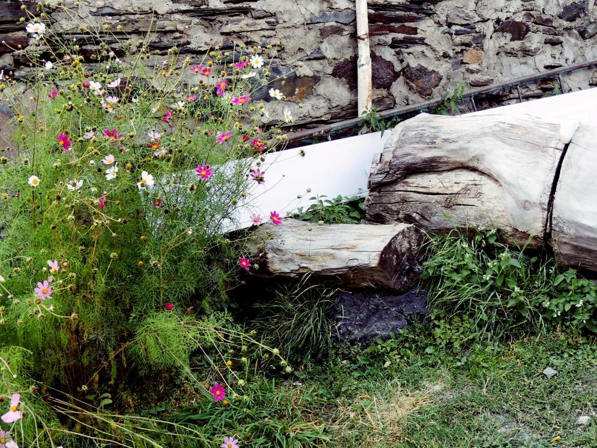 Nino Khetaguri Guest House Kazbegi Εξωτερικό φωτογραφία