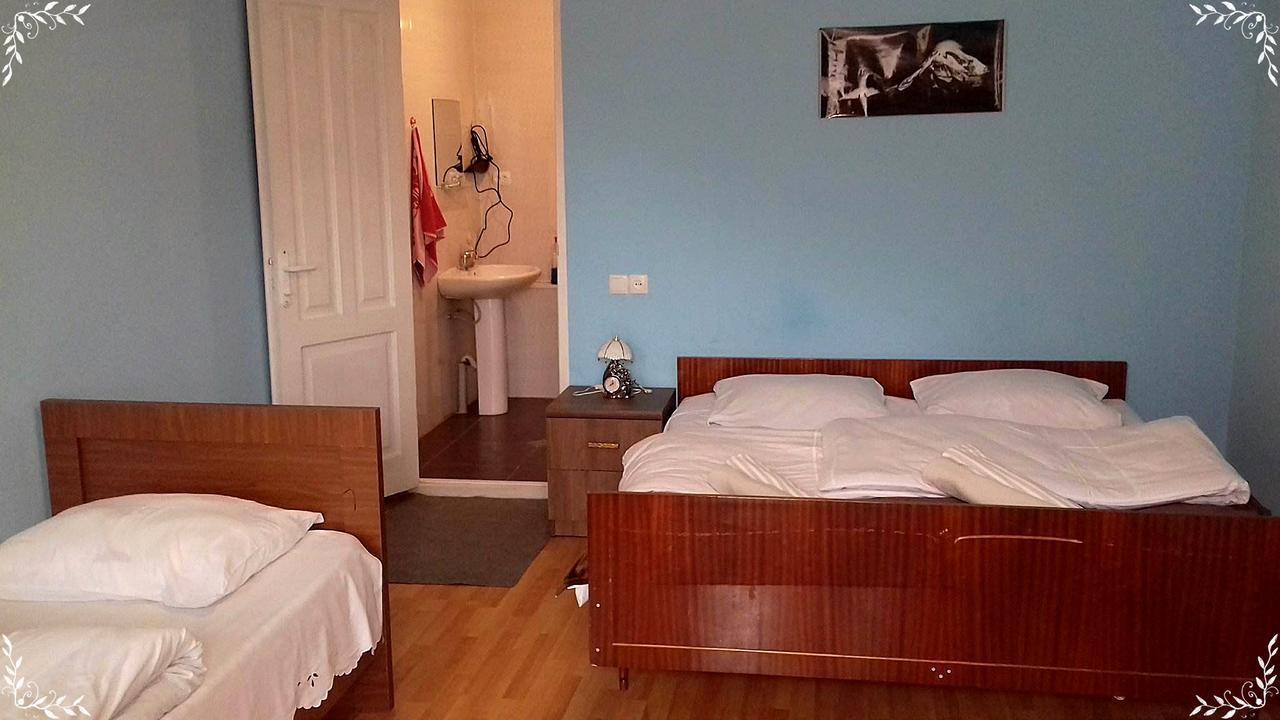 Nino Khetaguri Guest House Kazbegi Εξωτερικό φωτογραφία