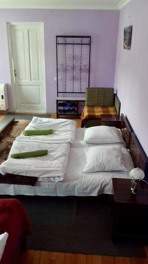 Nino Khetaguri Guest House Kazbegi Εξωτερικό φωτογραφία