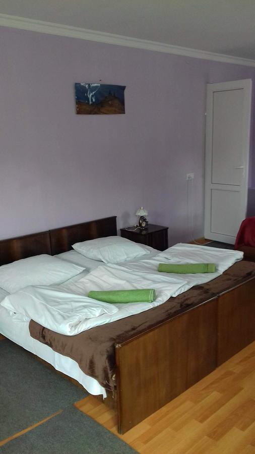 Nino Khetaguri Guest House Kazbegi Εξωτερικό φωτογραφία