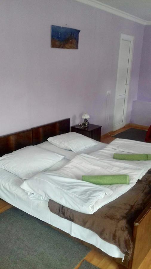 Nino Khetaguri Guest House Kazbegi Εξωτερικό φωτογραφία