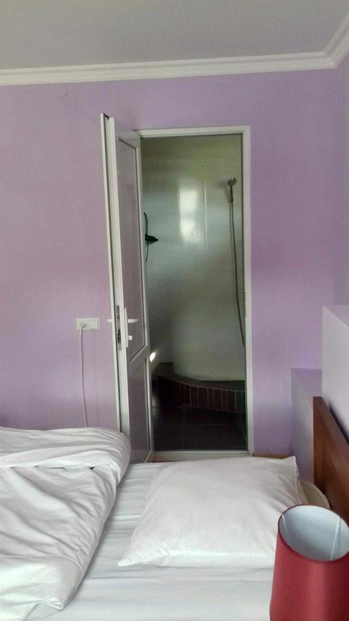 Nino Khetaguri Guest House Kazbegi Εξωτερικό φωτογραφία