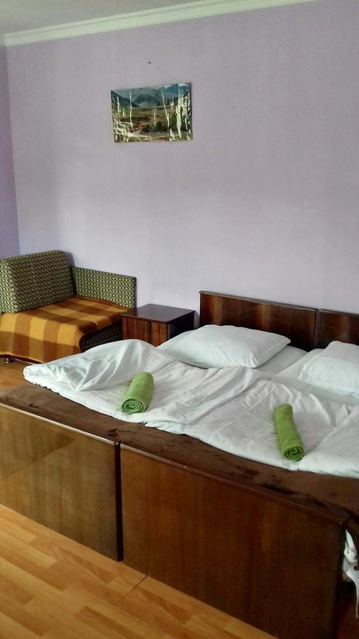 Nino Khetaguri Guest House Kazbegi Εξωτερικό φωτογραφία